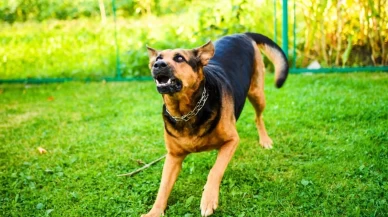 Adana’da sokak ortasında korku dolu anlar