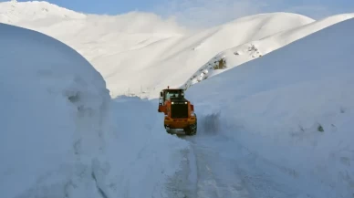 Doğu Anadolu’da kar engeli!