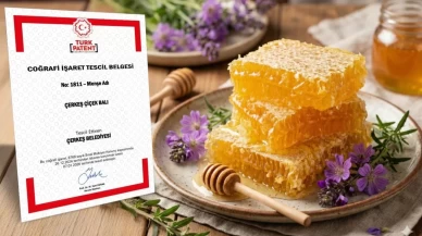 "Çerkeş çiçek balı" tescillendi