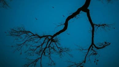 Milyonları etkisi altına aldı! Sadece 24 saat sürecek