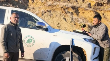 Yaban keçisi avına rekor ceza! 3 ilde 2,8 milyon TL kesildi