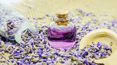 Göbek deliğine lavanta yağı dökünce bakın ne oluyor