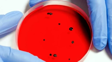 Enfeksiyonlara karşı etkili