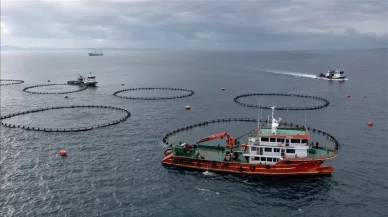 Karadeniz’den 36 ülkeye su ürünleri ihracatı 400 milyon doları aştı