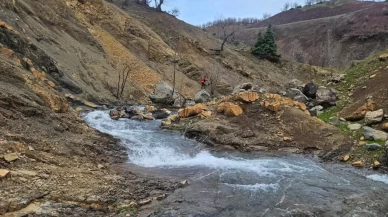 Diyarbakır’da kaybolan yaşlı adam için arama seferberliği