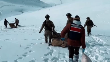 Narko-teröre ağır darbe: 406 kilo yasaklı madde ele geçirildi!