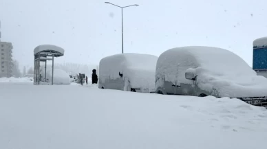 Doğu'da kar felaketi
