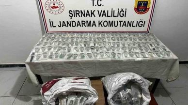 Şırnak’ta kaçakçılığa ağır darbe: Piyasa değeri 14 milyonluk operasyon