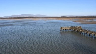 Doğaseverler Efteni Gölü Kuş Cenneti'nde buluştu