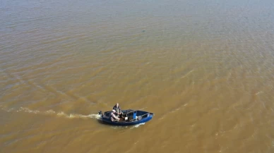 Buğday tarlasında balık avı!