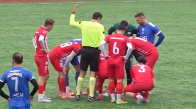 Topun çarptığı martı kalp masajıyla hayata döndürüldü