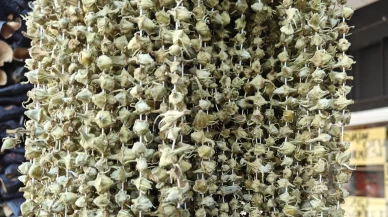 Çiçek bamya cep yakıyor! Ramazan ayının en pahalı lezzeti belli oldu