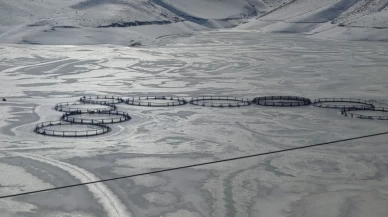 Sarı Mehmet Barajı ile Zernek Barajı tamamen buz tuttu!