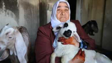 Şehit annesi alevlerin ortasında feryat etti “Oğlaklarımı kurtarın” çığlığına itfaiye koştu