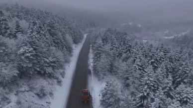 Pülümür Vadisi’nde yiyecek arayan kurt kamerada