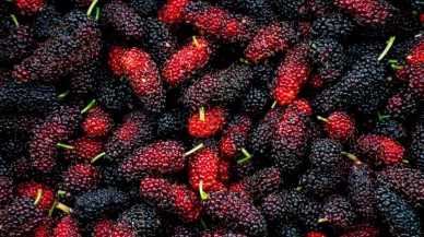 Rüyada Dut Görmek Ne Anlama Gelir?