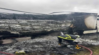 Hamsi yüklü tır alev alev yandı! Olay yerine ekipler sevk edildi