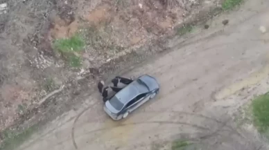 Arnavutköy'de çiftlikte dehşet: Çalışanına elektrikli testereyle saldırdı