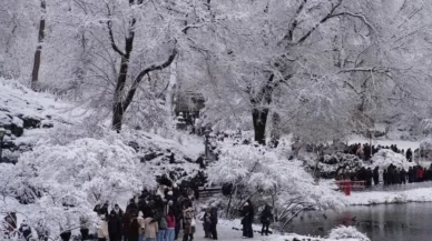 New York’ta dondurucu soğuk kabusu: 18 kişi hayatını kaybetti! Sıcaklık 13 gün boyunca sıfırın üstüne çıkmadı