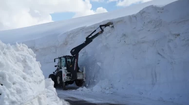 Muş’ta 45 bin kilometrelik yollarda mücadele sürüyor