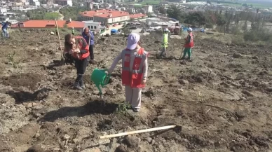 Antakya’da yanan ormanlar için seferberlik