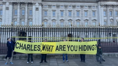 Kraliyetin Epstein sessizliğine "Suç mahallidir girilmez" tepkisi