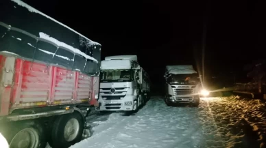 Bingöl-Erzurum yolu tır trafiğine kapatıldı