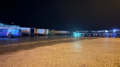 Erzincan'da ulaşıma kar ve sis engeli! Geçitler kapandı, kilometrelerce kuyruk oluştu