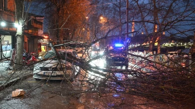 Edirne'de fırtına otomobilin üzerine ağaç devirdi