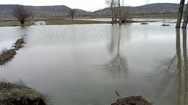 Tokat'ta sağanak felakete dönüştü! Tarlalar sular altında kaldı