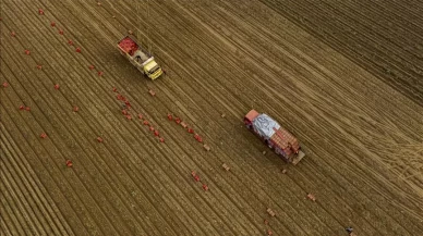 Tarım sezonunda alarm: Yağışlar yüzde 20 azaldı