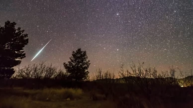 Araştırmalarda ortaya çıktı! İlk kez görsel olarak doğrulanıyor