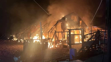 Bursa'daki yangında 250 tavuk, 150 civciv ve 180 kaz telef oldu!