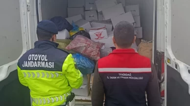 Tekirdağ'da kıyılmış 2 ton Antep fıstığı imha edildi