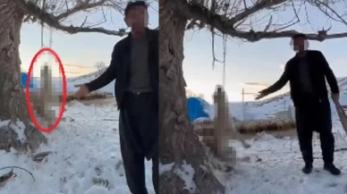 Çok yemek yiyor diyerek köpeğini ağaca astı