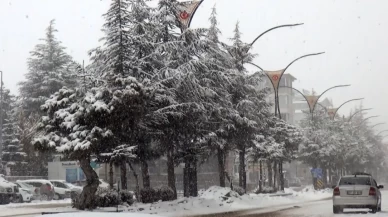 Köy yolları kar nedeniyle ulaşıma kapandı