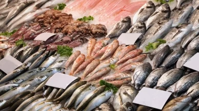 Su ürünleri sektörü 2026 hedefini büyütüyor!