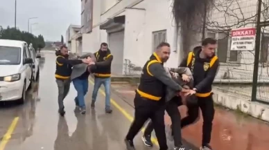 Atlara şiddet uygulayan şahıslara barınak cezası