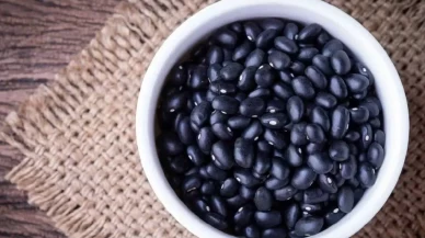 Uzman isim Dr. Catherine Metzgar açıkladı: