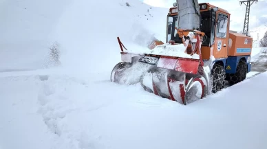 Doğu Anadolu'da kar esareti