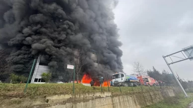 Trabzon’da fındık fabrikasının deposunda yangın paniği