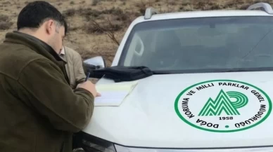 Antalya'da kaçak avcılara operasyon:3 kişi gözaltına alındı