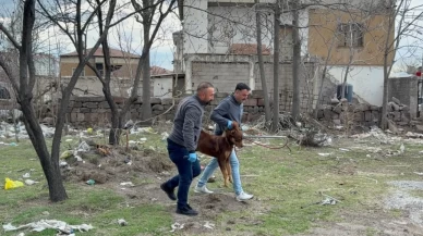 Kayseri’de köpeğin parçaladığı çocuğun 3. ameliyatı gerçekleşti