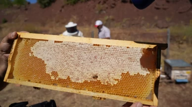 Erzincan Geven Balı'na coğrafi işaret müjdesi!