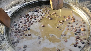 Kırgızlar, Nevruz Bayramını yüzyıllık “sümölök” geleneğiyle kutluyor