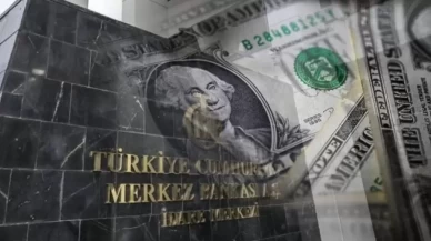 'Dolar bir sene sonra 52 lirayı görecek'