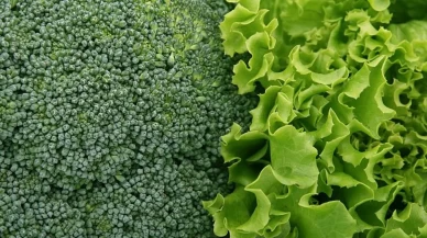 K vitamini mucizesi: Ispanak ve brokoli ile zihinsel hızınızı artırın