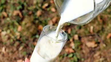 Çiğ süt tavsiye fiyatına güncelleme geldi