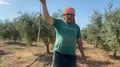 Karpuz serasına girdi, gördüğü manzara karşısında donakaldı: 'Bir saniyede öldürür!'