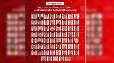 Kırmızı bültenle aranan 61 kişi Türkiye’ye iade edildi